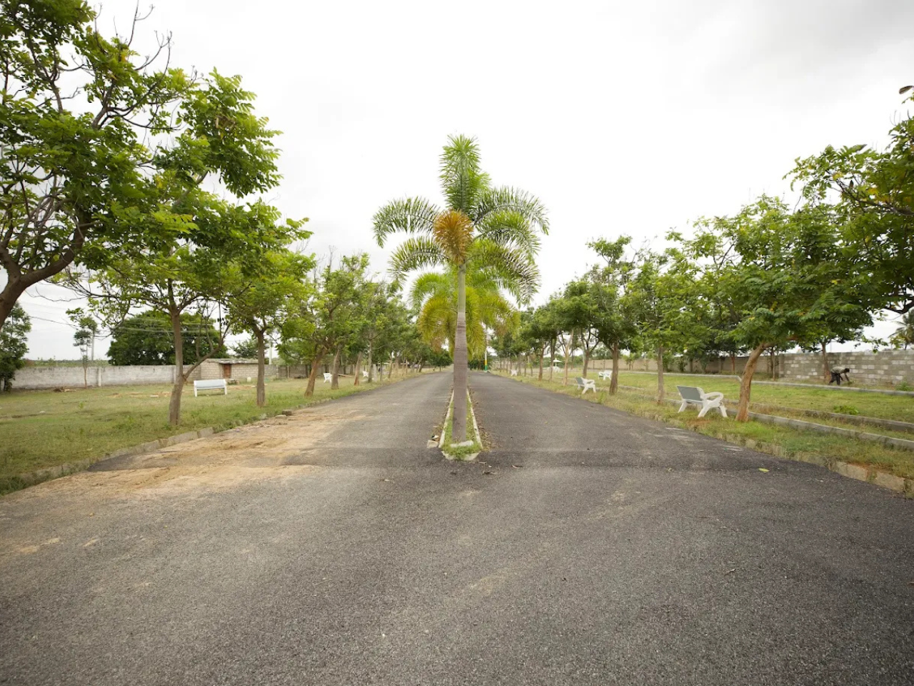 Project 2 Image 9